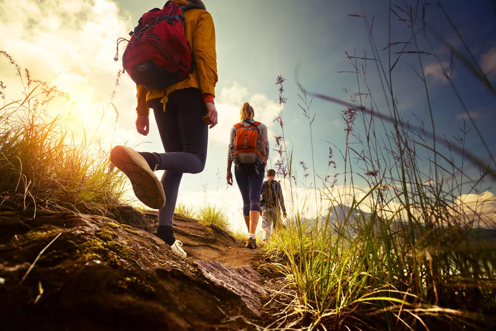 Sportwandern UP UN DAL 60 Kilometer Sportwandern UP UN DAL 60 Kilometer